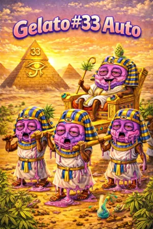 Gelato #33 Auto